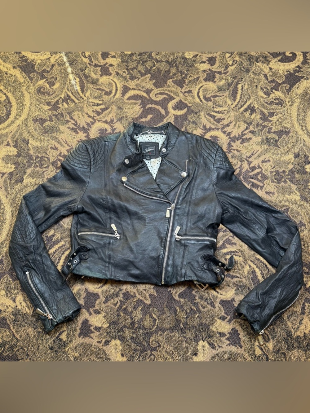 Kinder Aggugini Black Lamb Leather Moto Jacket Juniors Girls Size Medium Macys
